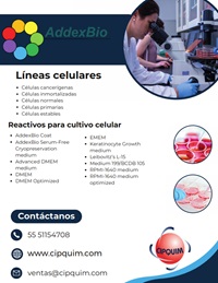 Infografía AddexBio Líneas Celulares
