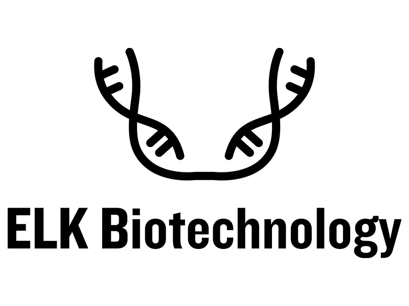ELK Biotech