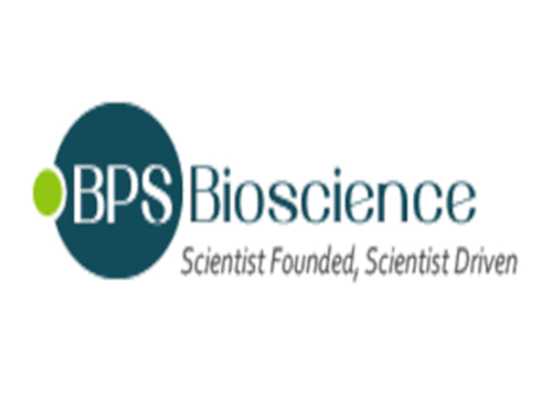BPS Bioscience