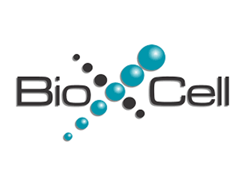 BioXCell