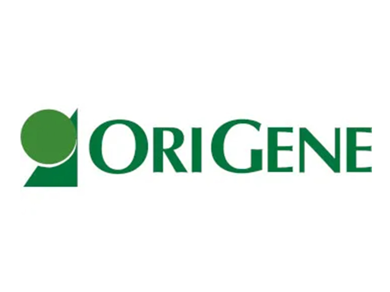 OriGene